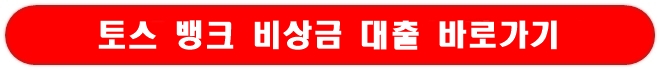 토스 뱅크 비상금 대출