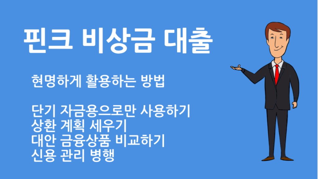 핀크 비상금 대출 단점 5가지와 현명한 대출 활용법