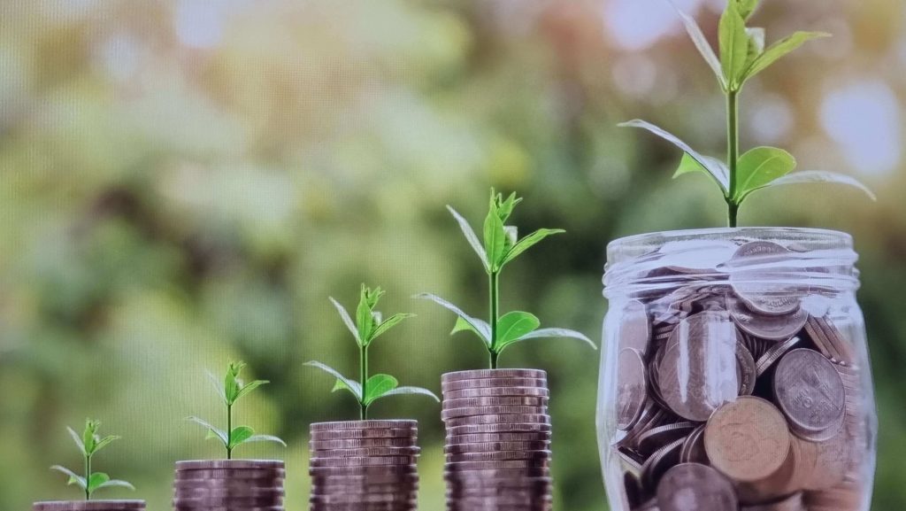 건물 담보 대출 완벽 가이드: 금리, 한도, 조건 총정리